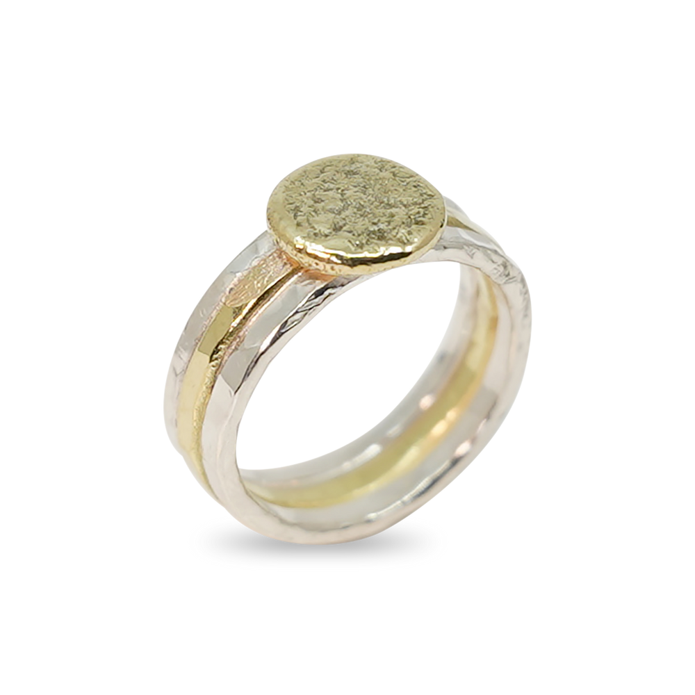 GOUD EN ZILVEREN GEHAMERDE RINGEN